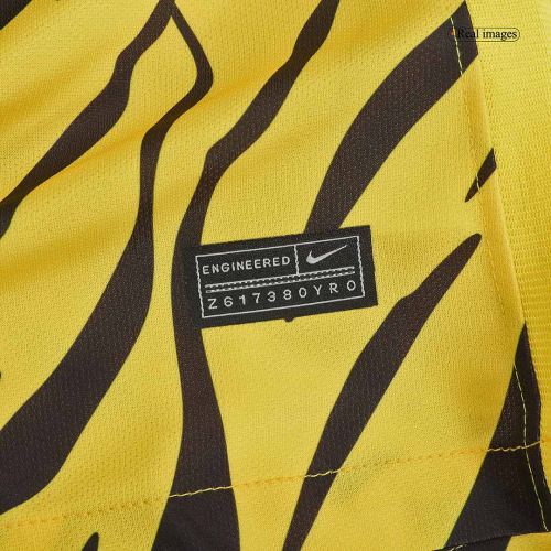 AEK Athens Soccer Jersey Home Replica 2022/23