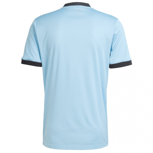 Germany 125-Year Anniversary Goalkeeper Jersey 2025
