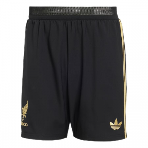 Mexico Third Long Sleeve Jersey Kit Gold Cup Player Version 2025